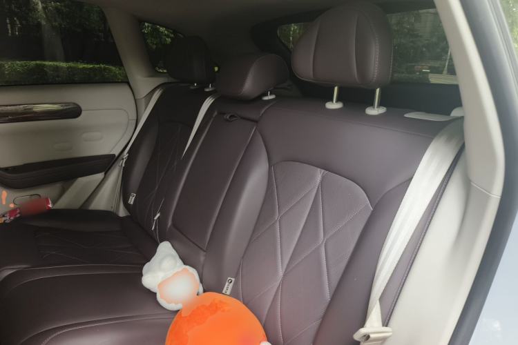 Used Leapmotor C11 2024 Range-Extended 300 Luxury Edition Left Rear Seat