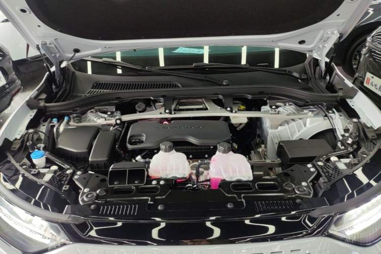 Used Leapmotor C11 2024 Range-Extended 300 Luxury Edition Engine Bay