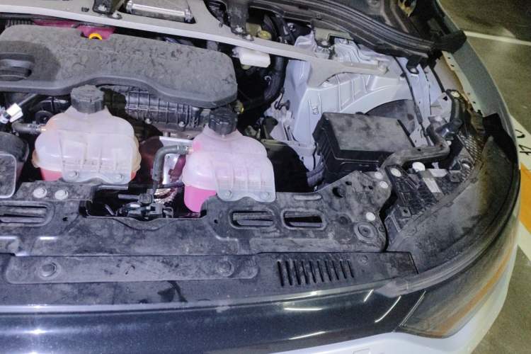 Used Leapmotor C11 2024 Range-Extended 300 Smart Enjoyment Edition Engine Bay Left