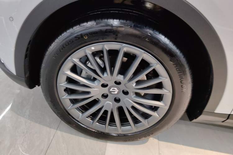 Used Leapmotor C11 2024 Range-Extended 300 Luxury Edition Exterior 4