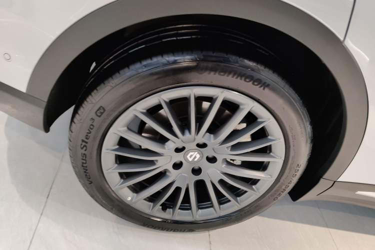 Used Leapmotor C11 2024 Range-Extended 300 Luxury Edition Exterior 5