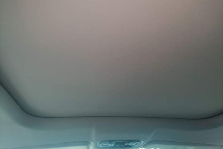 Used Leapmotor C11 2024 All-Electric 580 Luxury Edition Headliner