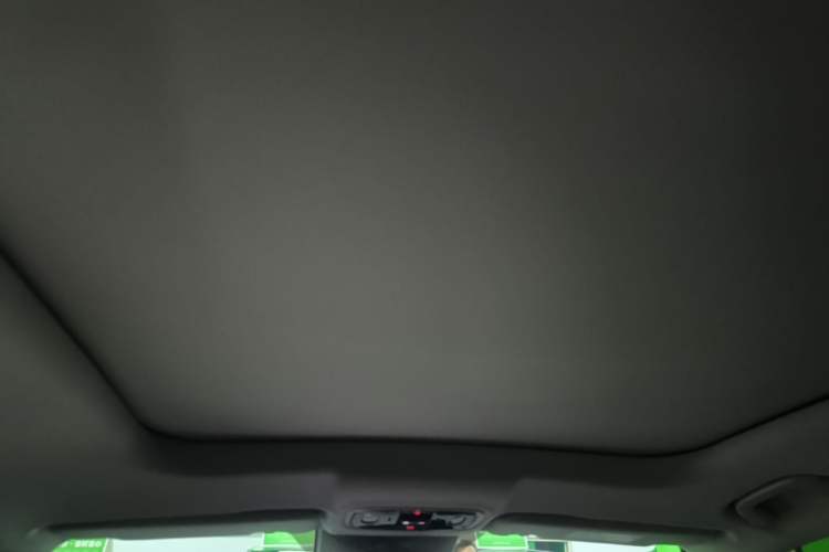 Used Leapmotor C11 2024 All-Electric 580 Luxury Edition Headliner