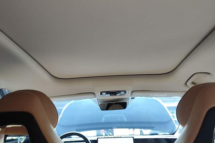 Used Leapmotor C11 2024 All-Electric 580 Luxury Edition Headliner