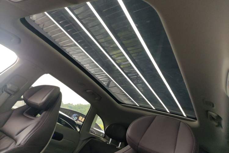 Used Leapmotor C11 2024 Range-Extended 300 Luxury Edition Headliner