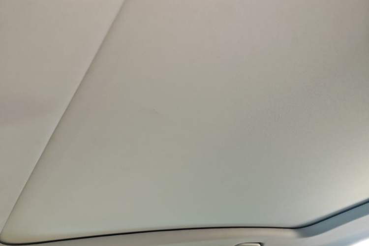 Used Leapmotor C11 2024 Range-Extended 300 Luxury Edition Headliner