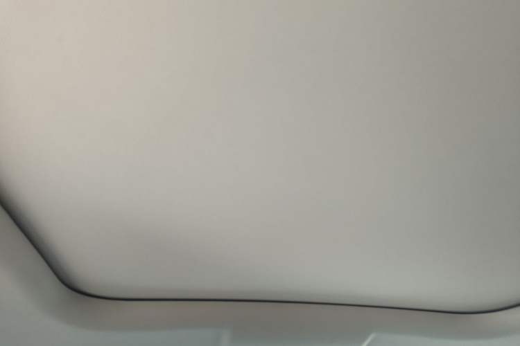 Used Leapmotor C11 2024 All-Electric 580 Luxury Edition Headliner