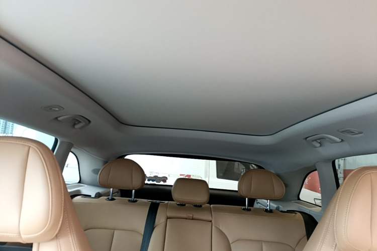 Used Leapmotor C11 2024 All-Electric 580 Luxury Edition Headliner