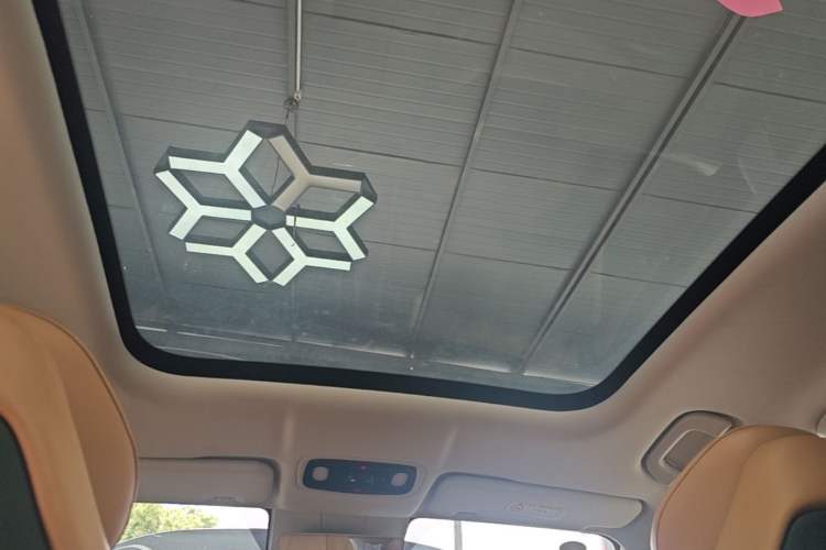 Used Leapmotor C11 2024 Range-Extended 300 Luxury Edition Headliner