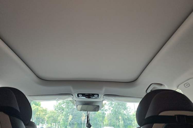 Used Leapmotor C11 2024 Range-Extended 200 Smart Enjoyment Edition Headliner