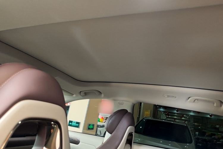 Used Leapmotor C11 2024 Range-Extended 300 Luxury Edition Headliner