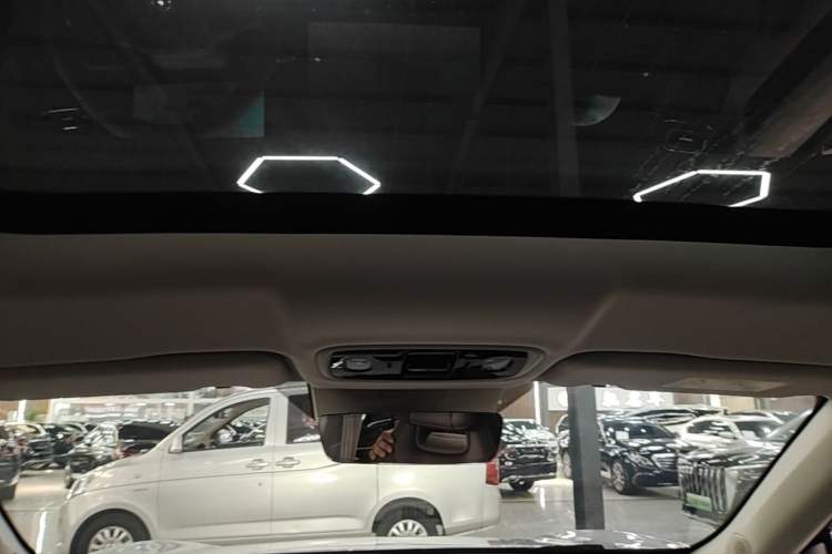 Used Leapmotor C11 2024 All-Electric 580 Luxury Edition Headliner