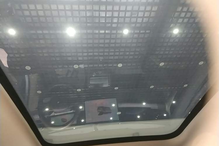 Used Leapmotor C11 2024 All-Electric 580 Luxury Edition Headliner