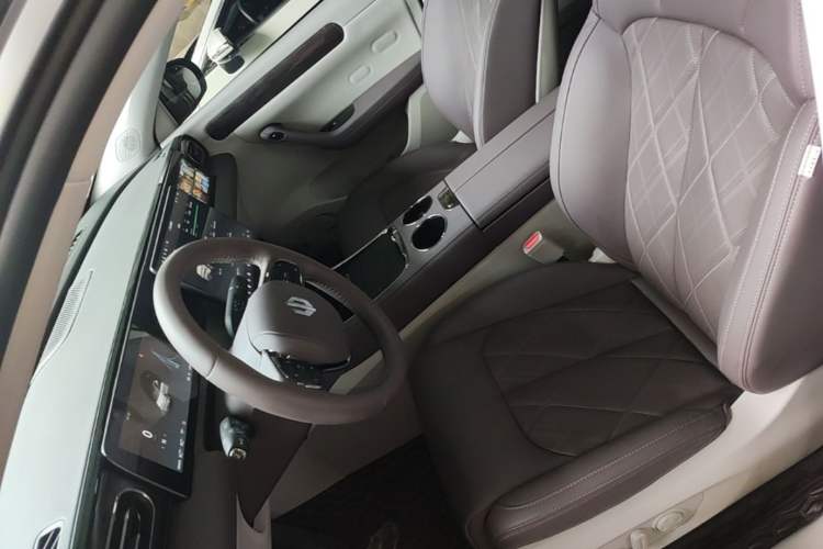 Used Leapmotor C11 2024 Range-Extended 300 Luxury Edition Left Front Seat