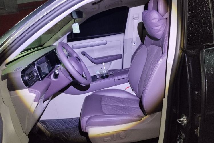 Used Leapmotor C11 2024 All-Electric 580 Luxury Edition Left Front Seat