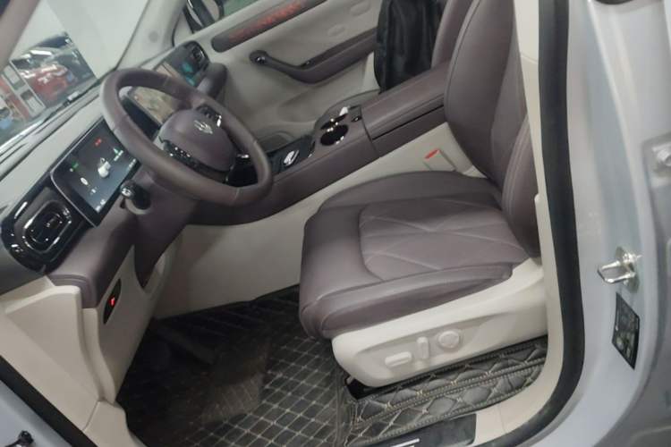 Used Leapmotor C11 2024 All-Electric 580 Luxury Edition Left Front Seat