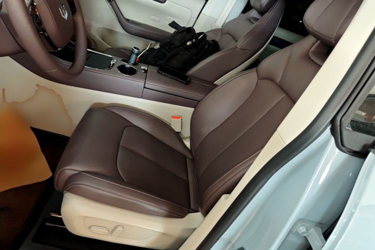 Used Leapmotor C11 2024 Range-Extended 300 Luxury Edition Left Front Seat