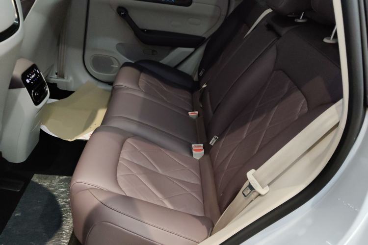 Used Leapmotor C11 2024 Range-Extended 300 Luxury Edition Left Rear Seat