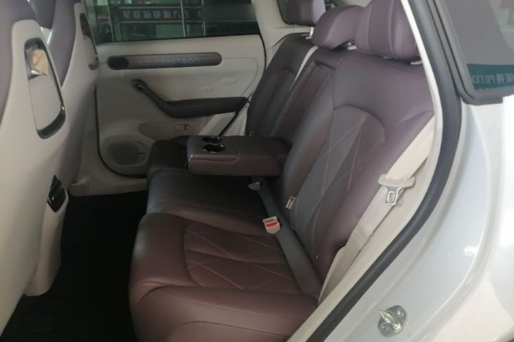 Used Leapmotor C11 2024 All-Electric 580 Luxury Edition Left Rear Seat