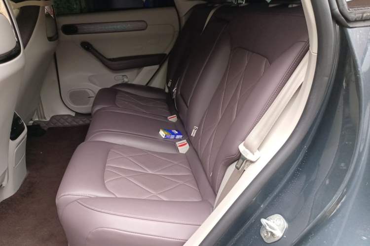 Used Leapmotor C11 2024 All-Electric 580 Luxury Edition Left Rear Seat