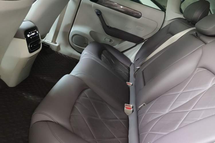 Used Leapmotor C11 2024 Range-Extended 300 Luxury Edition Left Rear Seat