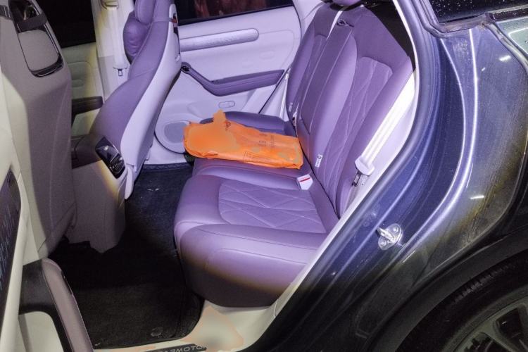 Used Leapmotor C11 2024 All-Electric 580 Luxury Edition Left Rear Seat