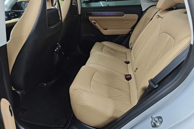 Used Leapmotor C11 2024 All-Electric 580 Luxury Edition Left Rear Seat
