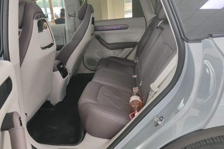 Used Leapmotor C11 2024 All-Electric 580 Luxury Edition Left Rear Seat