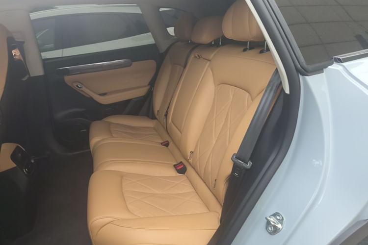 Used Leapmotor C11 2024 Range-Extended 300 Luxury Edition Left Rear Seat