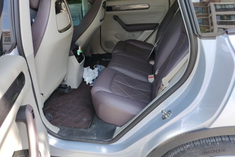 Used Leapmotor C11 2024 Range-Extended 300 Luxury Edition Left Rear Seat