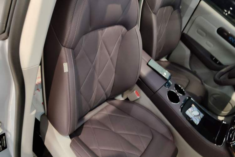 Used Leapmotor C11 2024 Range-Extended 300 Luxury Edition Right Front Seat