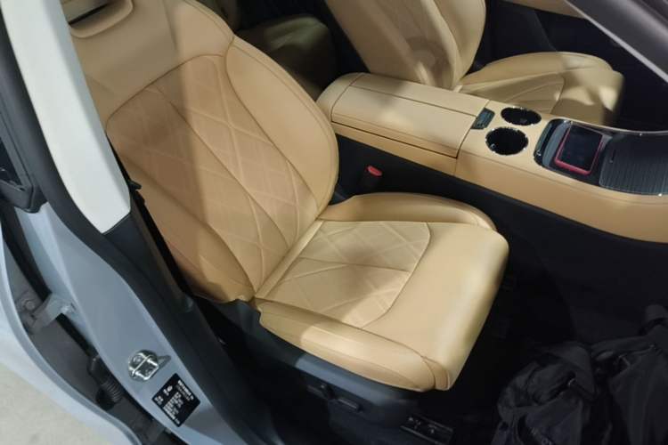 Used Leapmotor C11 2024 All-Electric 580 Luxury Edition Right Front Seat