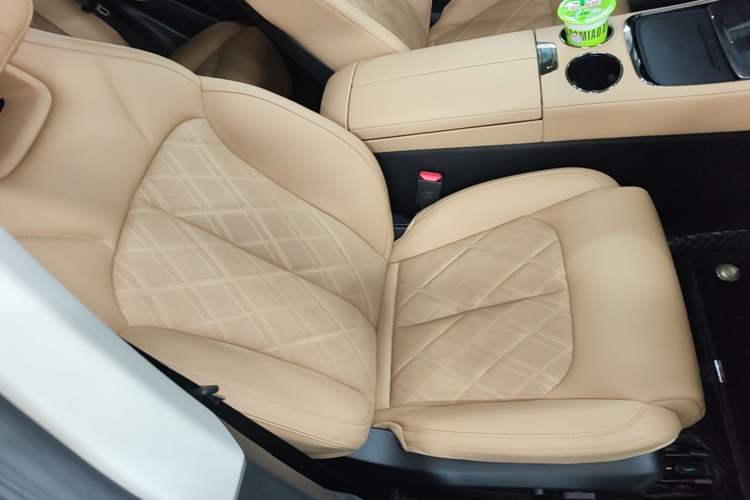 Used Leapmotor C11 2024 Range-Extended 300 Luxury Edition Right Front Seat
