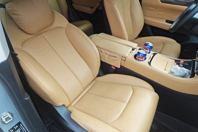 Used Leapmotor C11 2024 Range-Extended 300 Luxury Edition Right Front Seat