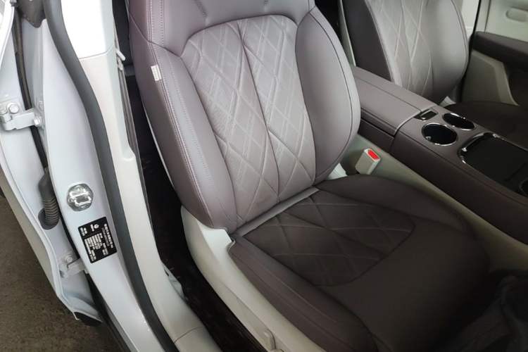 Used Leapmotor C11 2024 Range-Extended 300 Luxury Edition Right Front Seat