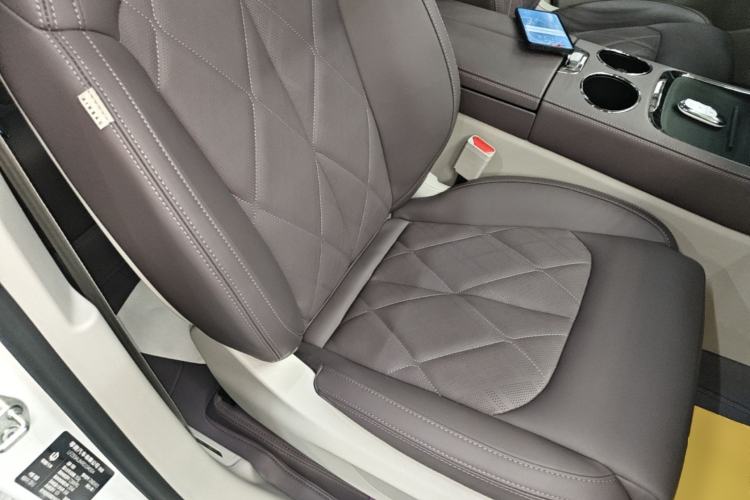 Used Leapmotor C11 2024 Range-Extended 300 Luxury Edition Right Front Seat