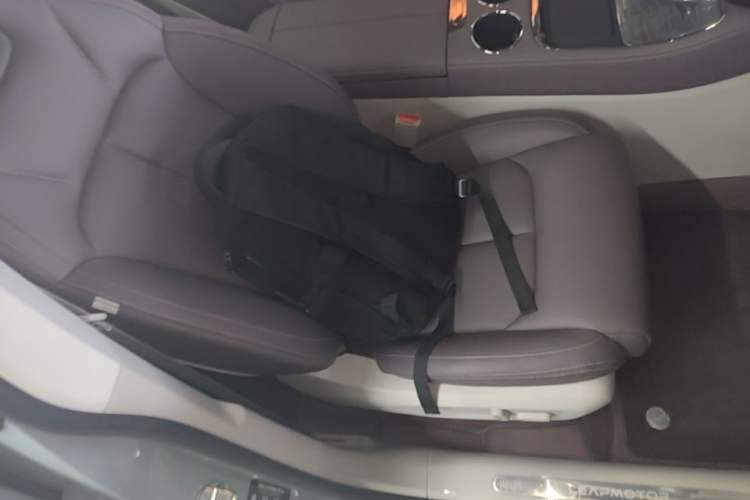 Used Leapmotor C11 2024 Range-Extended 300 Luxury Edition Right Front Seat