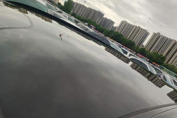 Used Leapmotor C11 2024 Range-Extended 300 Luxury Edition Roof