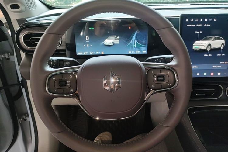 Used Leapmotor C11 2024 Range-Extended 300 Luxury Edition Steering Wheel