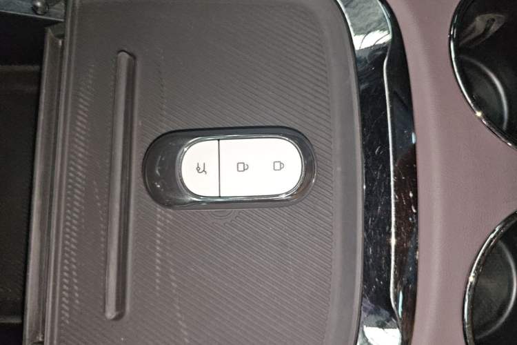 Used Leapmotor C11 2024 Range-Extended 300 Luxury Edition Vehicle Key