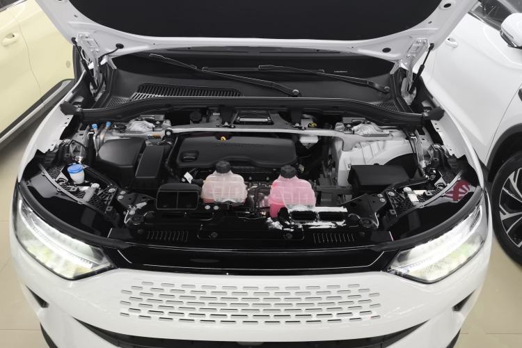 Used Leapmotor C11 2024 Range-Extended 300 Luxury Edition Engine Bay