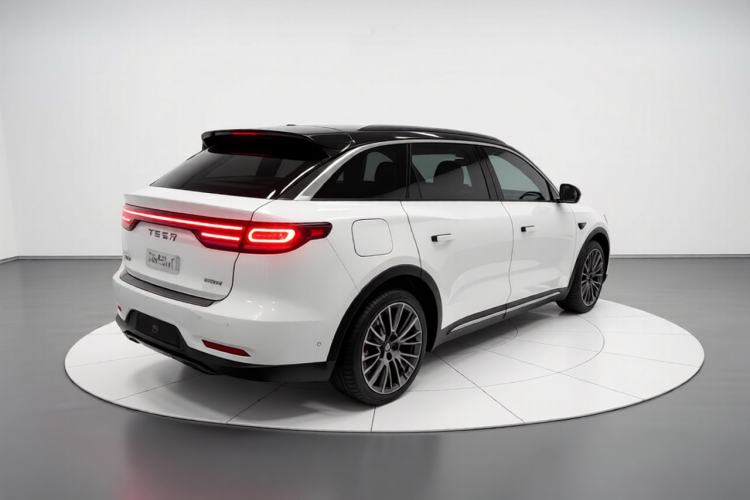 Used Leapmotor C11 2024 All-Electric 580 Luxury Edition Exterior 5