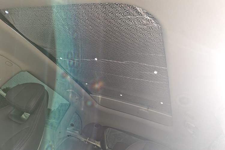 Used Leapmotor C11 2024 All-Electric 580 Luxury Edition Headliner
