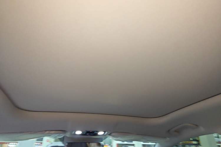 Used Leapmotor C11 2024 All-Electric 580 Luxury Edition Headliner