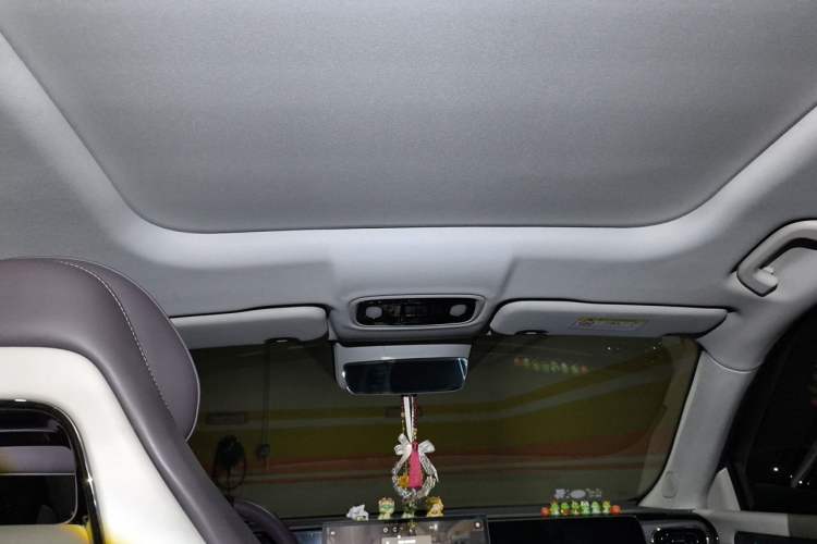 Used Leapmotor C11 2024 All-Electric 580 Luxury Edition Headliner
