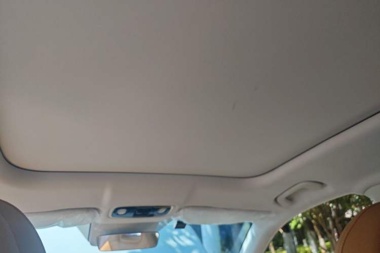 Used Leapmotor C11 2024 Pure Electric 515 Smart Edition Headliner