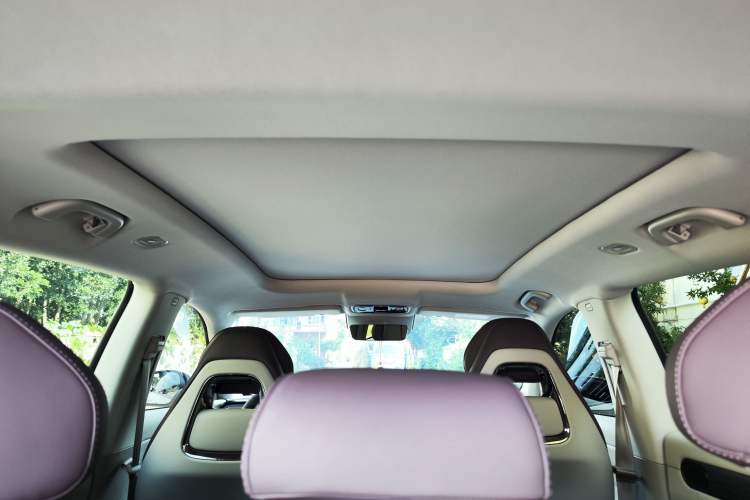 Used Leapmotor C11 2024 All-Electric 580 Luxury Edition Headliner