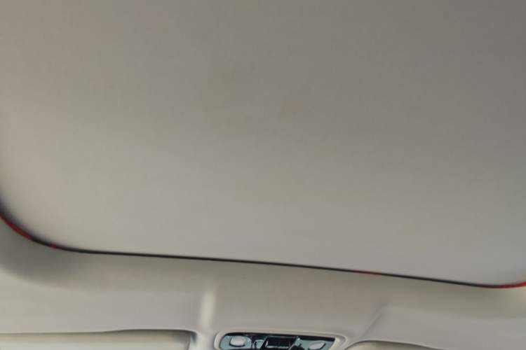 Used Leapmotor C11 2024 All-Electric 580 Luxury Edition Headliner
