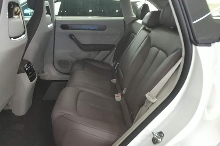 Used Leapmotor C11 2024 All-Electric 580 Luxury Edition Left Rear Seat