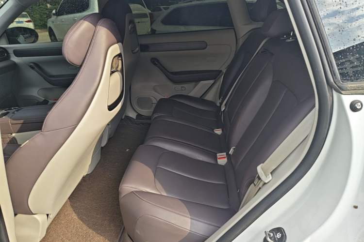 Used Leapmotor C11 2024 All-Electric 580 Luxury Edition Left Rear Seat